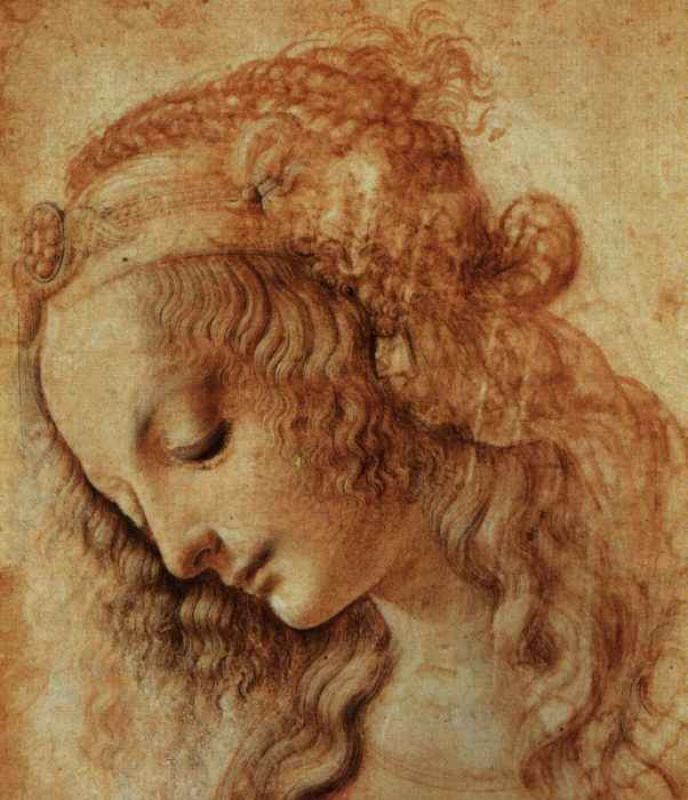 drawing of a woman's head.jpg
